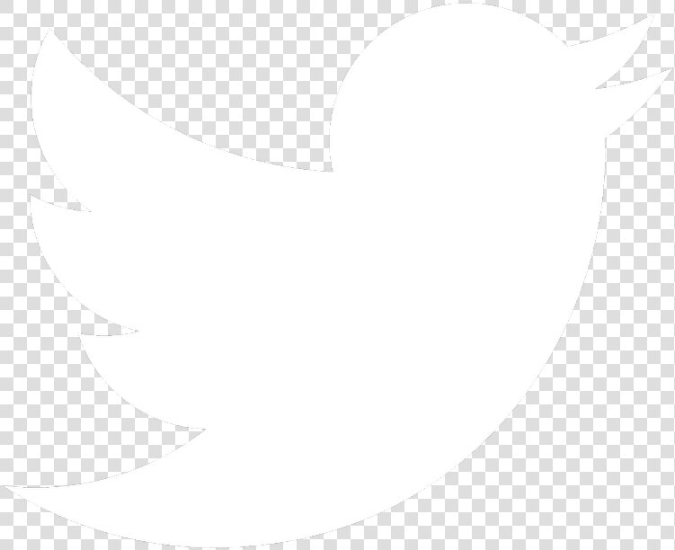 Thumb Image   Twitter Bird White Png  Transparent PngTransparent PNG