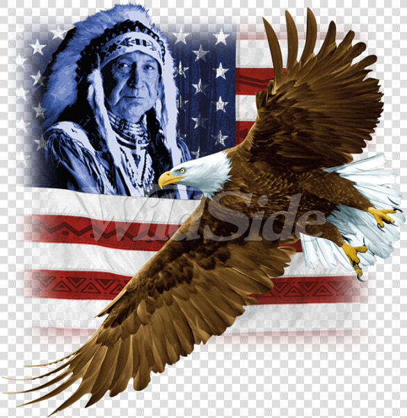 Transparent Eagle Wings Spread Clipart Black And White   Hawk  HD Png DownloadTransparent PNG