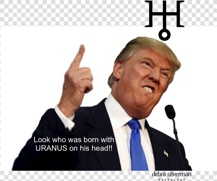 Astrological Personality Type Of Donald Trump   Donald Trump Meme White Background  HD Png DownloadTransparent PNG