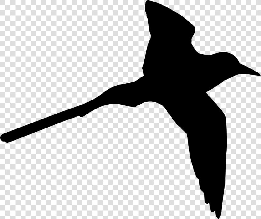 Tropical Bird Shape Of Long Tail   Tropical Bird Icon  HD Png DownloadTransparent PNG