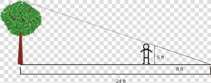 Angles In Triangles Example 6   Similar Triangles Tree Height  HD Png DownloadTransparent PNG