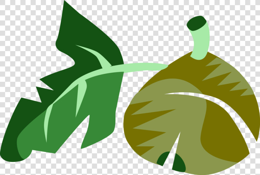 Vector Illustration Of Common Fig Fruit With Leaf  HD Png DownloadTransparent PNG