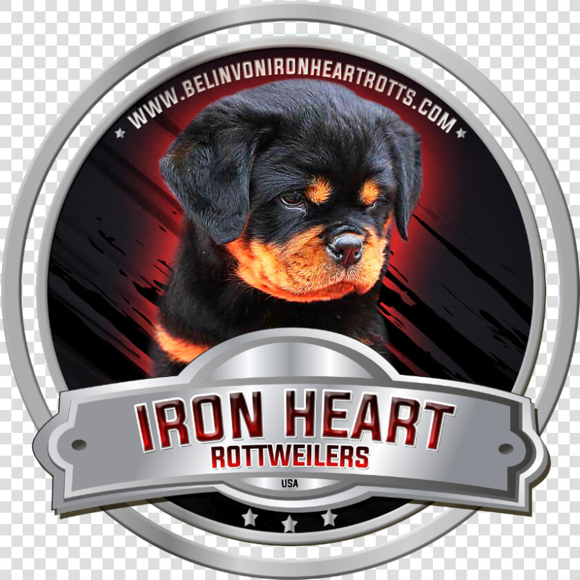 Haus Rottweiler Imperial Warrior  HD Png DownloadTransparent PNG