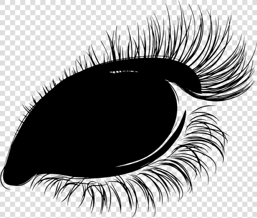 Gt Iris Pupil Women Eye   Eyelash  HD Png DownloadTransparent PNG