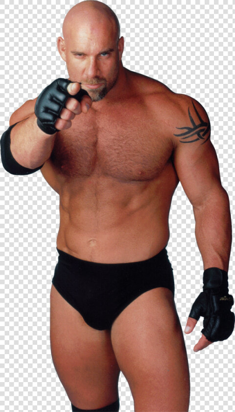 Bill Goldberg Wwe Who S Next Signed Autographed   Png   Bill Goldberg Sexy  Transparent PngTransparent PNG
