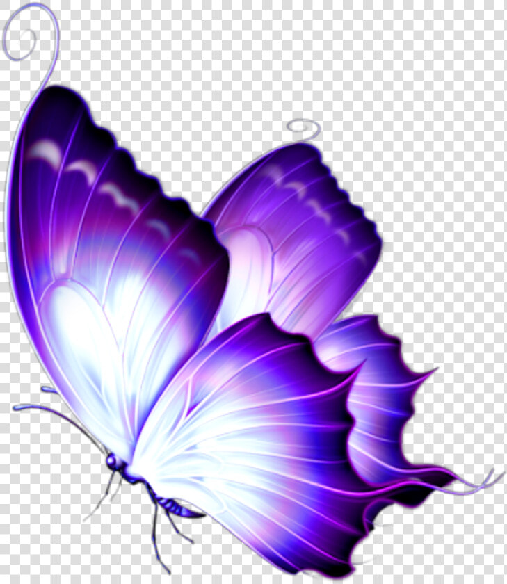  ftestickers  butterfly  luminous  purple  blue   Transparent Glowing Butterfly Png  Png DownloadTransparent PNG