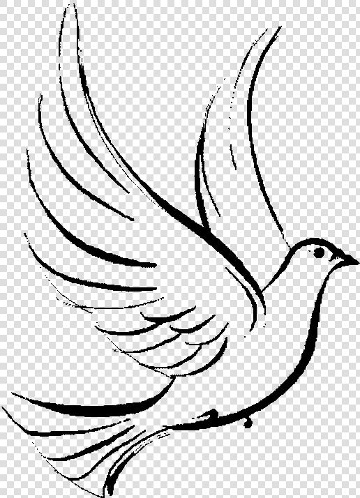  dove  cross  jesus  christianity  christian  god  symbol   Transparent Background Dove Clipart Png  Png DownloadTransparent PNG