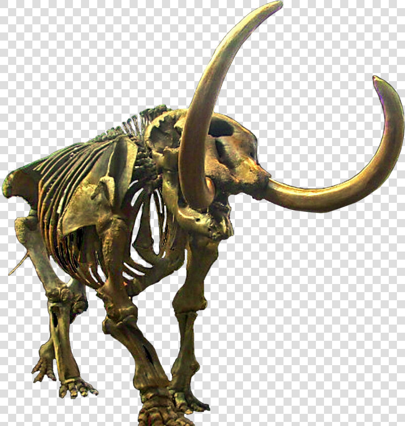Mastodon Transparent  HD Png DownloadTransparent PNG
