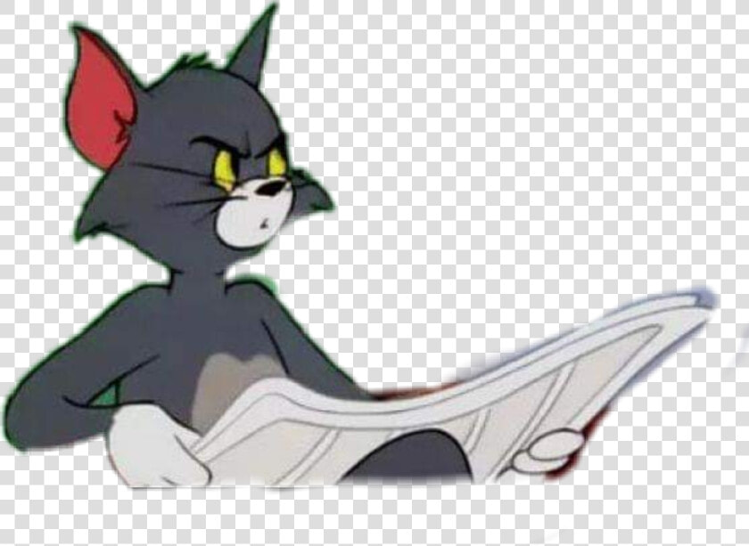  cat  tomandjerry  tom  memes  lmao   Tf2 Spah  HD Png DownloadTransparent PNG