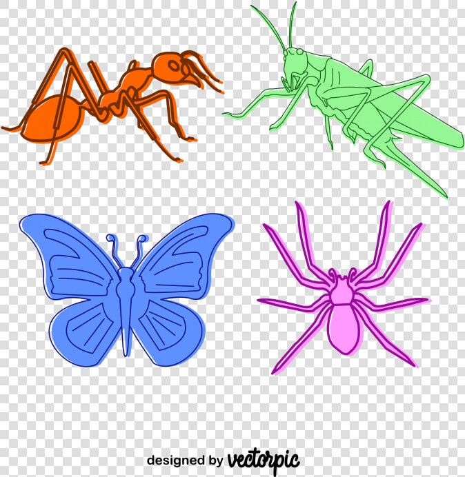 Lycaenid  HD Png DownloadTransparent PNG