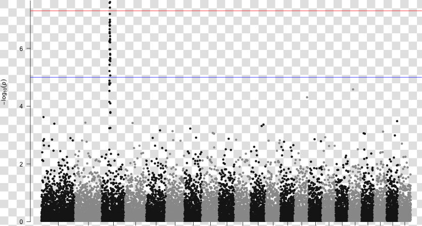 Gwas Manhattan Plot  HD Png DownloadTransparent PNG