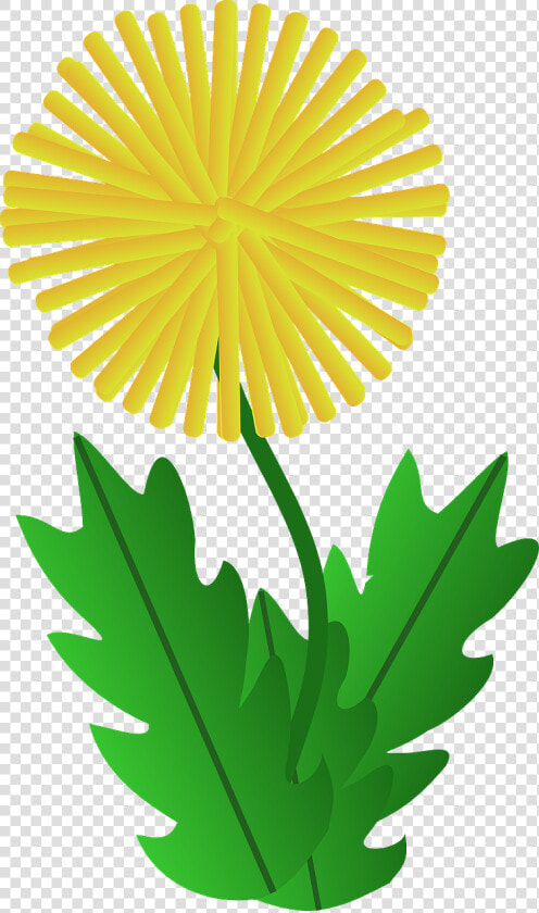 Dandelion Clipart   Png Download   Dandelion Clipart  Transparent PngTransparent PNG