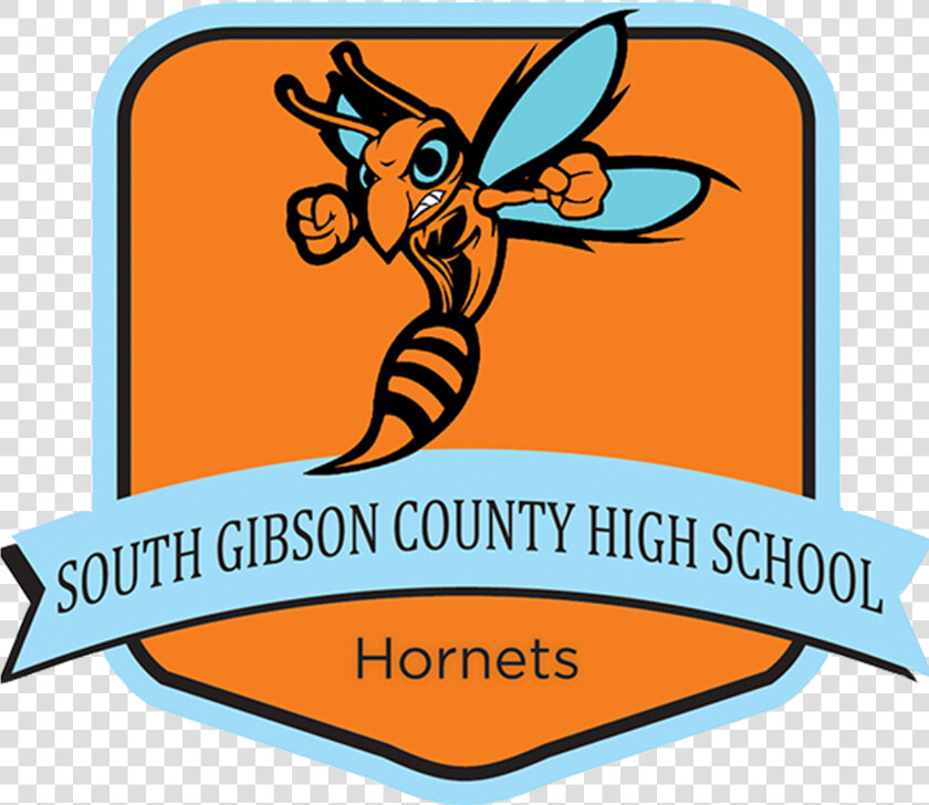 Transparent Hornet Png  Png DownloadTransparent PNG