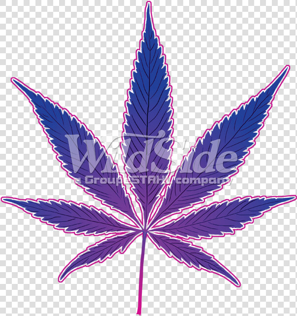 Marijuana Pot Leaf   Png Download   Marijuana Black And White Png  Transparent PngTransparent PNG