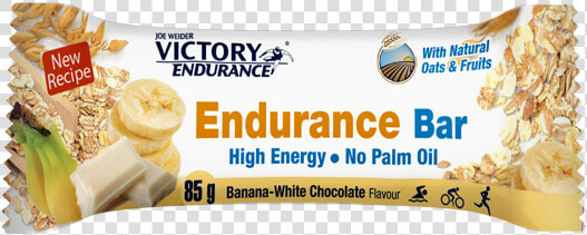 Endurance Bar   Victory Endurance  HD Png DownloadTransparent PNG