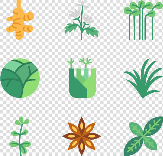 Essential Set   Herb Icon  HD Png DownloadTransparent PNG