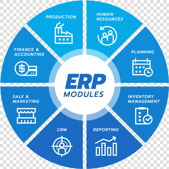 Sap Erp   Digital Competencies  HD Png DownloadTransparent PNG