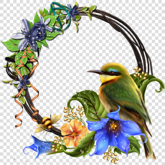 Humming Bird Flower Clipart Image Library Http   Bagchi Tubes Barnali Bagchi Birds Png  Transparent PngTransparent PNG