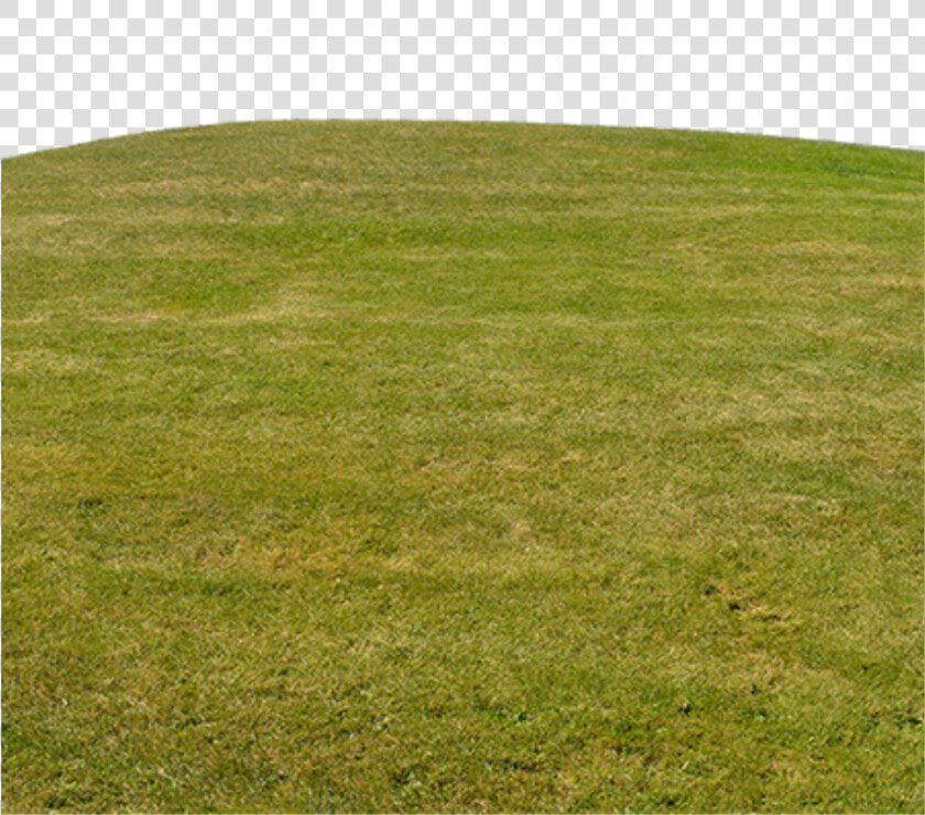  grama   Lawn  HD Png DownloadTransparent PNG