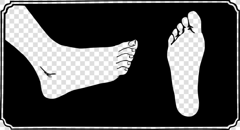 Big Foot Clipart Barefoot   Foot Leg Clipart  HD Png DownloadTransparent PNG