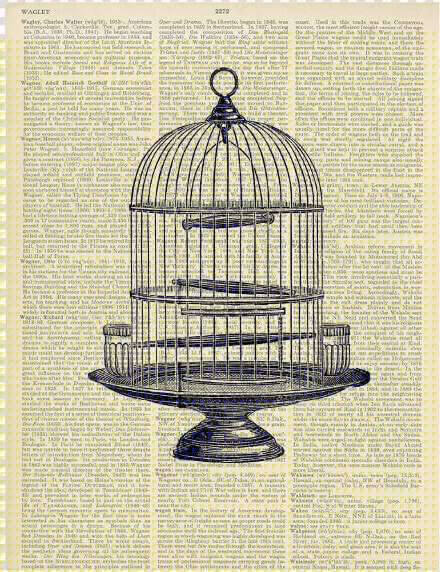 Round Pepin Design   Vintage Bird Cage Art  HD Png DownloadTransparent PNG