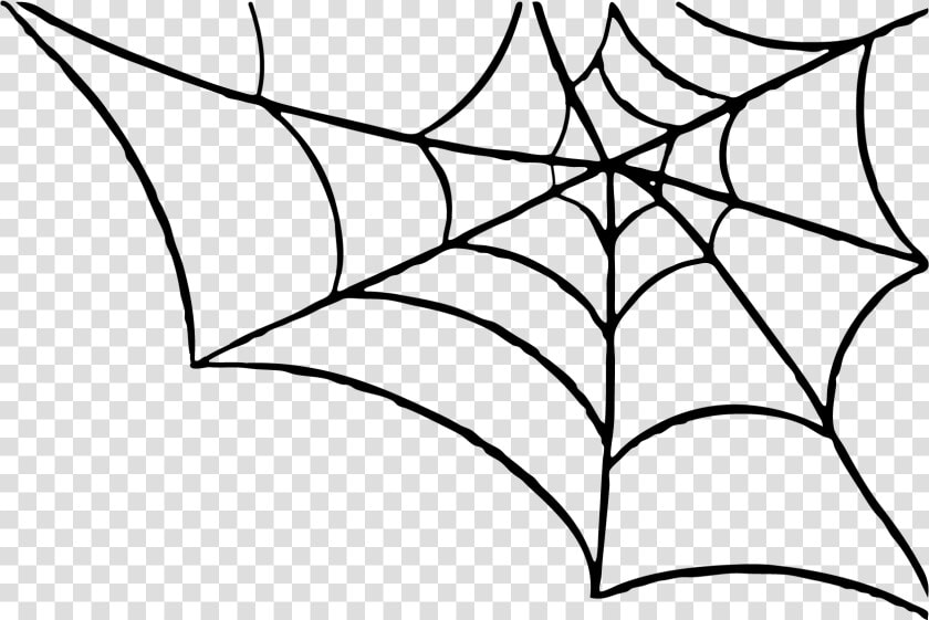 Best Spider Web Png   Spider Web Png Transparent  Png DownloadTransparent PNG