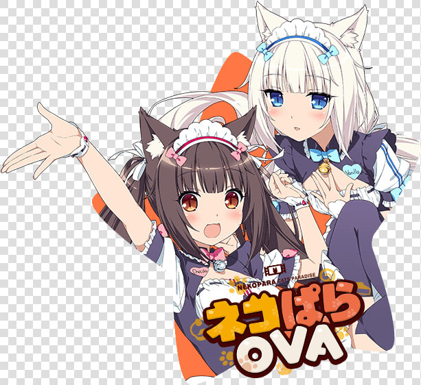 Nekopara Ova   Nekopara  HD Png DownloadTransparent PNG