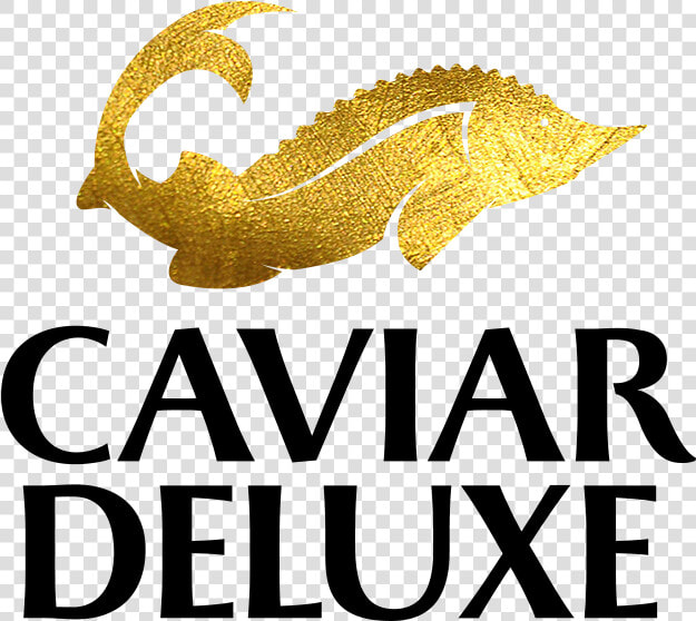 Clip Art Deluxe Premium Sturgeon  HD Png DownloadTransparent PNG