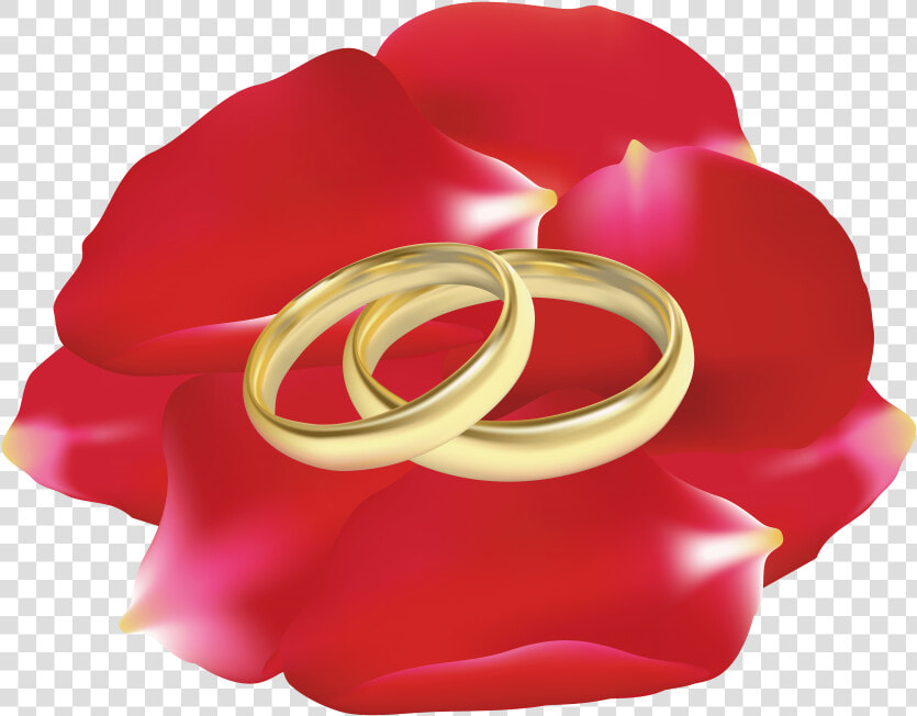 Download Wedding Rings In Rose Petals Clipart Png Photo   Rings Art Wedding Flower  Transparent PngTransparent PNG