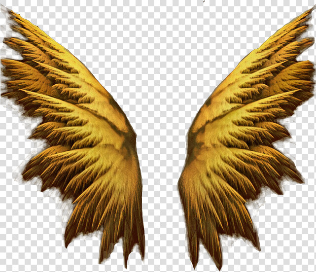 Transparent Gold Angel Wings Png   Background Angel Wings 3d  Png DownloadTransparent PNG