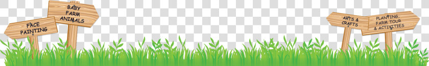 Hierochloe  HD Png DownloadTransparent PNG