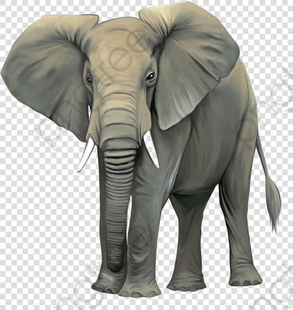 Elephant Clipart Realistic Transparent   Elephant Wild Animals Clipart  HD Png DownloadTransparent PNG
