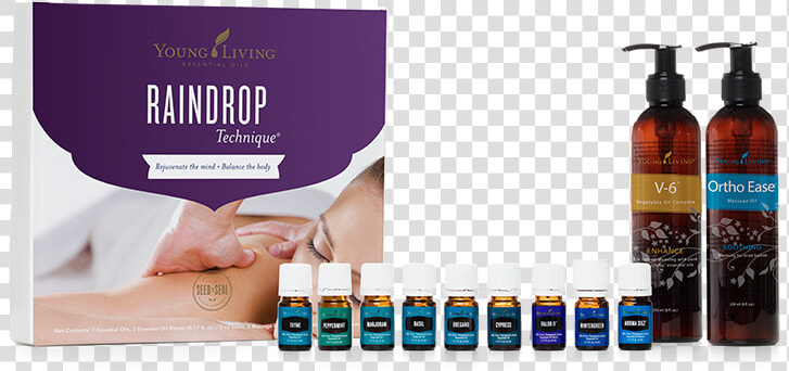 Raindrop Technique Young Living  HD Png DownloadTransparent PNG