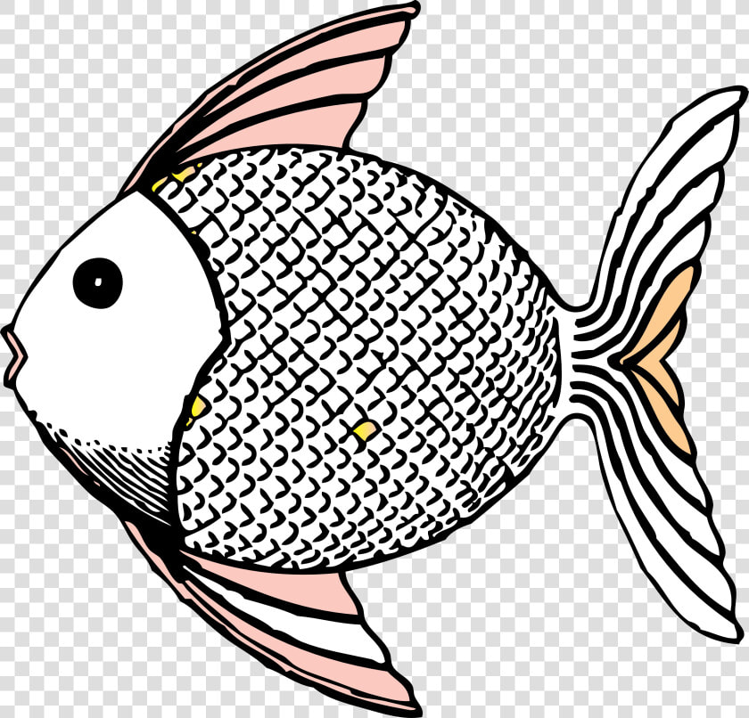 Fish Cliparts For Free Set Clipart And Use In Transparent   Fish Clip Art  HD Png DownloadTransparent PNG
