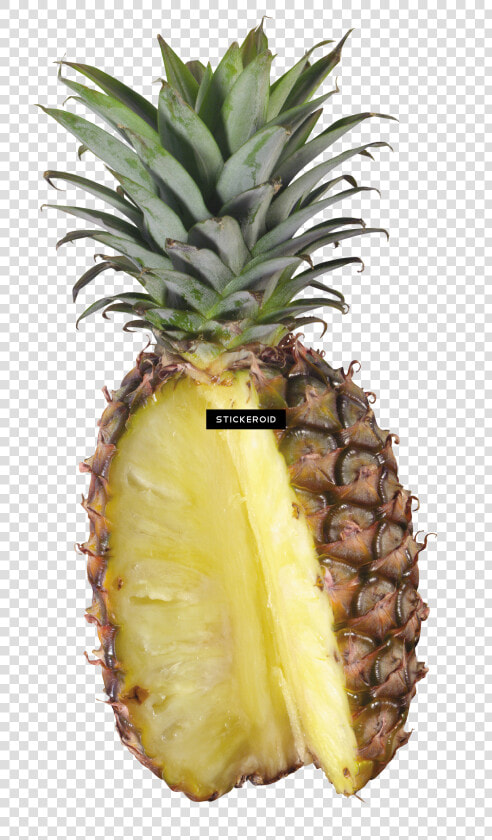 Pineapple   Png Download   Pineapple  Transparent PngTransparent PNG