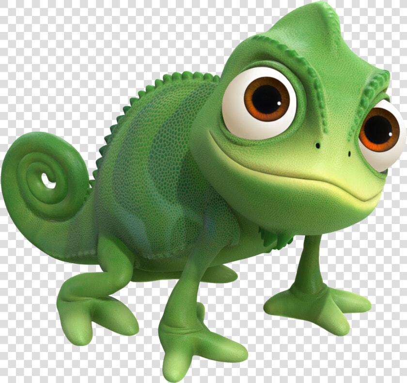 Pascal Khiii   Pascal Rapunzel Png  Transparent PngTransparent PNG