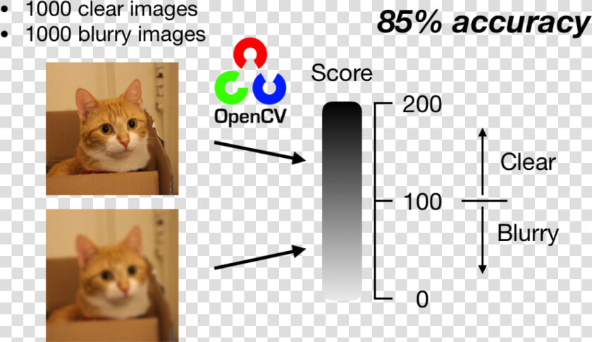 Deep Learning Blur Detection  HD Png DownloadTransparent PNG