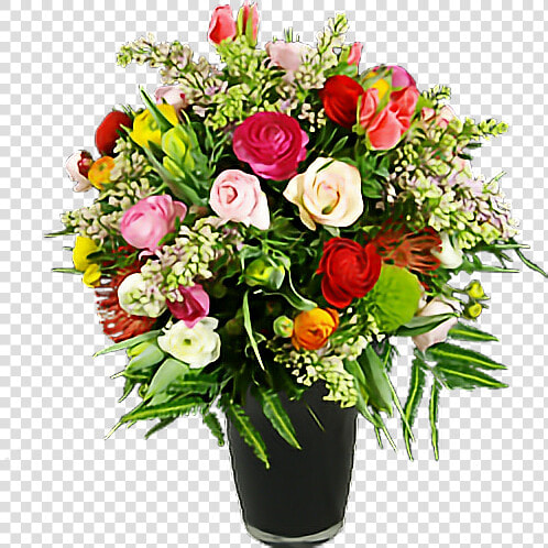  flowers  pretty  beautiful  pettles plant  plants   Garden Roses  HD Png DownloadTransparent PNG