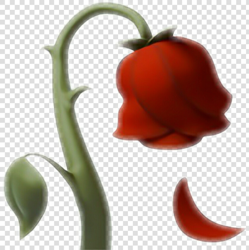  emoji  rose  rosa  ios10  whatsapp  red  love  flower   Wilted Rose Emoji Transparent  HD Png DownloadTransparent PNG