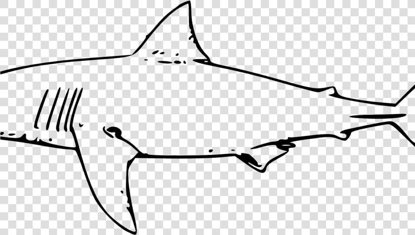 Great White Shark Clipart   Great White Shark Clip Art  HD Png DownloadTransparent PNG