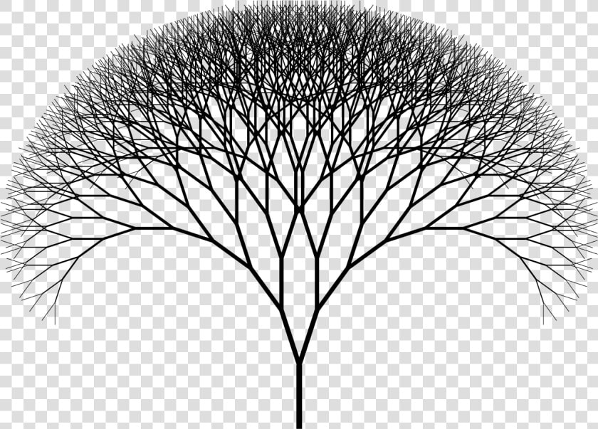 Fractal Png  Transparent PngTransparent PNG