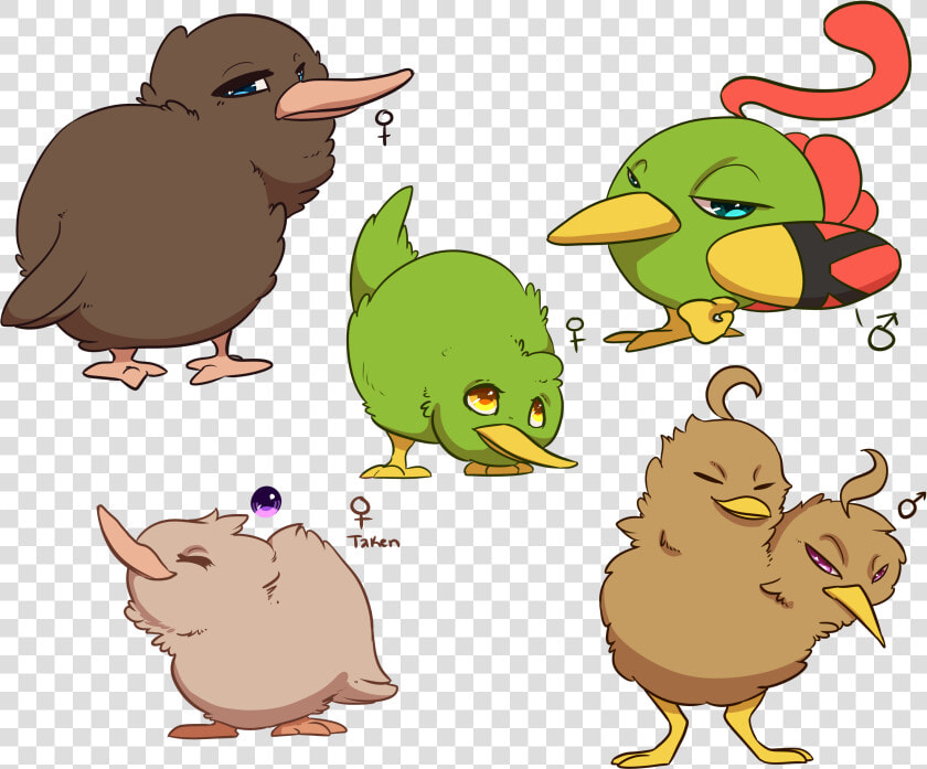 Collection Of Drawing High Quality Free   Kawaii Kiwi Bird  HD Png DownloadTransparent PNG