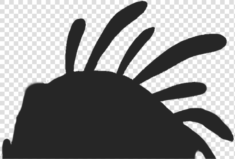 Features   Illustration  HD Png DownloadTransparent PNG