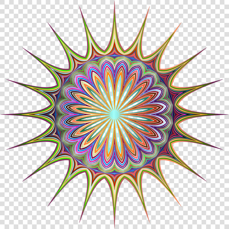 Petal visual Arts plant   Bbs Super Rs  HD Png DownloadTransparent PNG