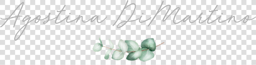Bachelorette Party  HD Png DownloadTransparent PNG