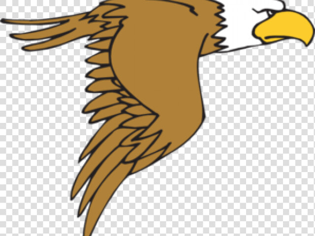 Coopers Hawk Clipart Soaring Eagle   Flying Cartoon Eagle Clipart  HD Png DownloadTransparent PNG