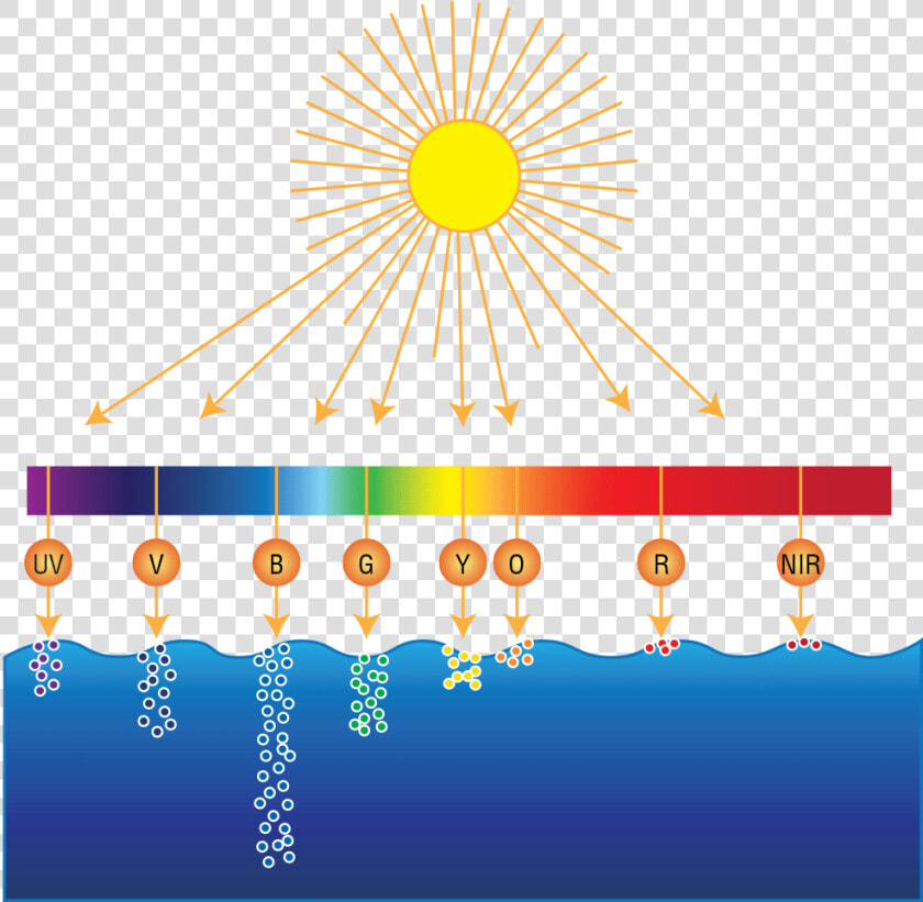 Sunlight Spectrum   Graphic Design  HD Png DownloadTransparent PNG