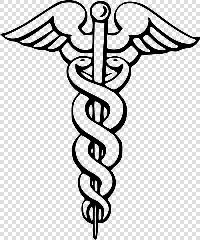 Certified Nursing Assistant Logo  HD Png DownloadTransparent PNG
