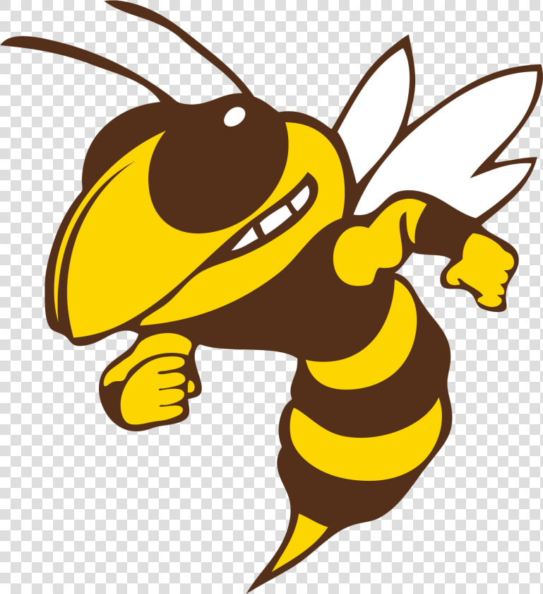 Transparent Hornets Logo Png   Calhoun Yellow Jackets  Png DownloadTransparent PNG