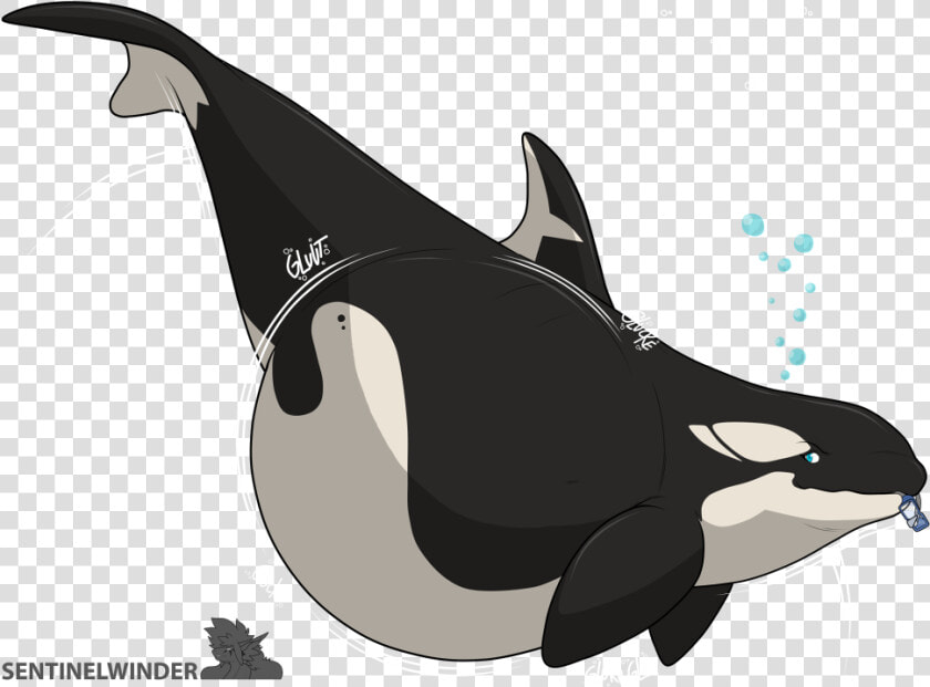Hungriest Orca    HD Png DownloadTransparent PNG